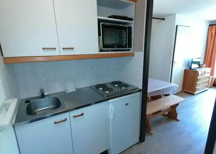 2 Pieces Fonctionnel, Acces Pistes, 4 Pers - Fr-1-181-2545 Apartman *