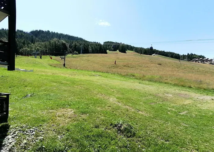 2 Pieces Fonctionnel, Acces Pistes, 4 Pers - Fr-1-181-2545 *