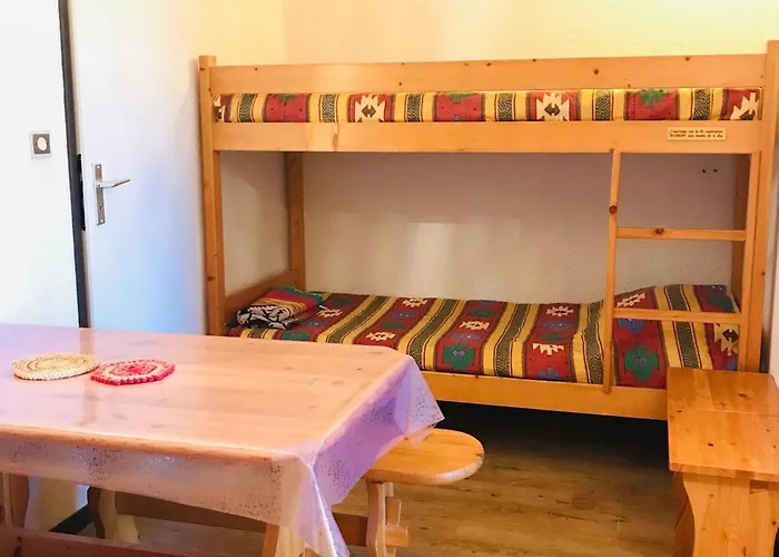 2 Pieces Fonctionnel, Acces Pistes, 4 Pers - Fr-1-181-2545 La Plagne