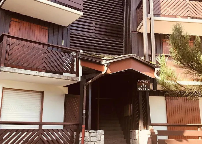 2 Pieces Fonctionnel, Acces Pistes, 4 Pers - Fr-1-181-2545 Apartment *