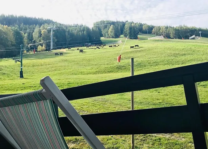 2 Pieces Fonctionnel, Acces Pistes, 4 Pers - Fr-1-181-2545 Apartment *